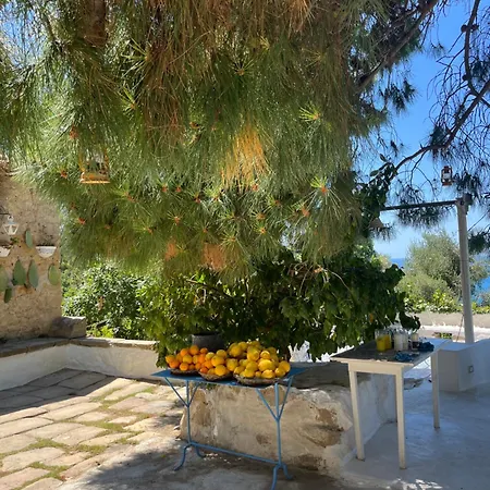 La Casa Del Nespolo - Exclusive Country - Seaview Pool & Self Check-in (adults Only) Guest house Capo d'Orlando
