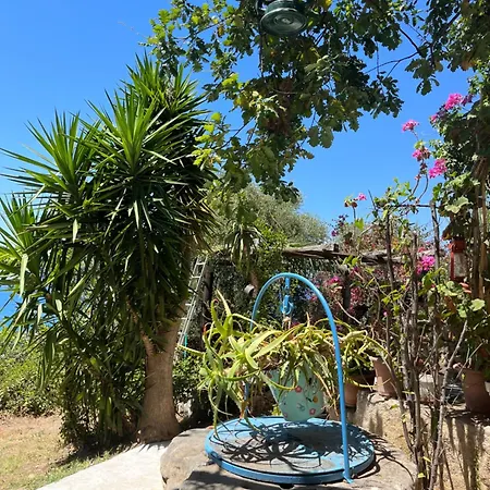 La Casa Del Nespolo - Exclusive Country - Seaview Pool & Self Check-in (adults Only) * Capo d'Orlando